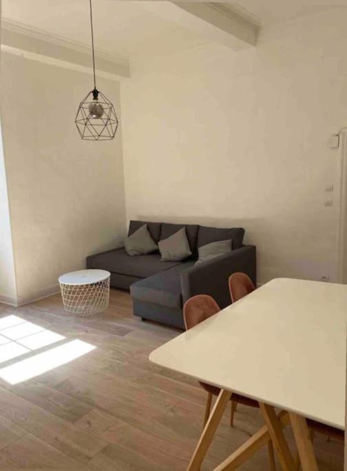 Appartement De Charme Au Coeur Du Centre Ville . Millau Exteriör bild